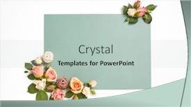  Presentation with light roses - Theme enhanced with decoration-from-natural-blossoming-roses background and a soft green colored foreground