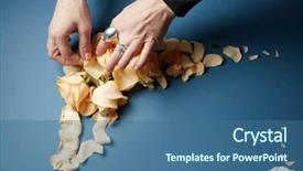  Presentation with navy blue - Beautiful theme featuring decoration of navy blue background backdrop and a  colored foreground