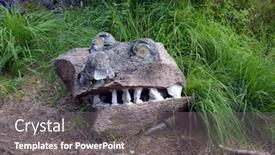  Presentation with community - 