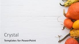  Presentation with decoration - Slide set having decoration-pumpkin-border-on-white background and a white colored foreground