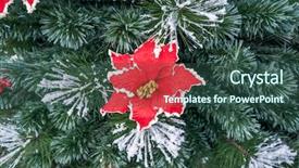  Presentation with christmas borders grunge border decoration - Audience pleasing slides consisting of decorations on the christmas tree backdrop and a ocean colored foreground