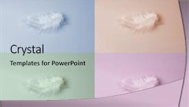  Presentation with feather - Beautiful presentation theme featuring decorative bird feather abstract color backdrop and a light blue colored foreground