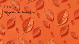  Presentation with color orange - Slides with decorative-colorful-handcraft-pattern background and a red colored foreground