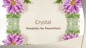  Presentation with chrysanthemum - Cool new presentation theme with chrysanthemum flowers and old paper backdrop and a cream colored foreground