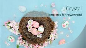  Presentation with birds - Slide set having decorative-easter-eggs-and-apple background and a light blue colored foreground