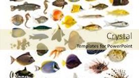  Presentation with seawater - Theme with decorative-educational-poster-set background and a blonde colored foreground