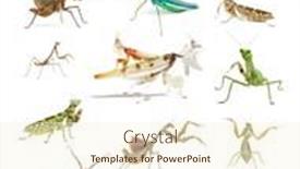  Presentation with poster - Slides with decorative-educational-poster-set background and a cream colored foreground