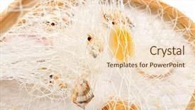  Presentation with white pigeon against the blue - Audience pleasing presentation theme consisting of decorative fishing net against white backdrop and a  colored foreground