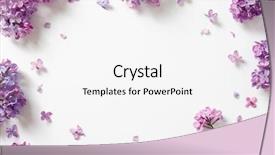  Presentation with purple wedding - Presentation design enhanced with decorative frame of beautiful purple background and a white colored foreground