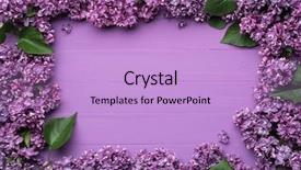  Presentation with frame - Beautiful PPT theme featuring decorative frame of lilac flowers backdrop and a light blue colored foreground