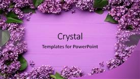  Presentation with spring flowers on textured - Slide deck consisting of decorative frame of lilac flowers background and a lilac colored foreground
