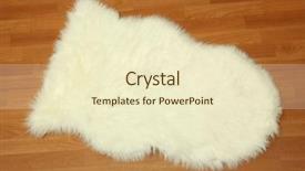  Presentation with carpet - Audience pleasing theme consisting of decorative-fur-carpet-on-wooden backdrop and a cream colored foreground