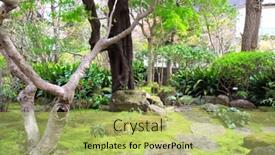  Presentation with moss - Amazing presentation design having decorative-garden-with-trees-stones backdrop and a yellow colored foreground
