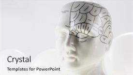  Presentation with head anatomy - Beautiful slide set featuring decorative human head psychological anatomy backdrop and a white colored foreground