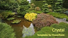  Presentation with stream - Theme enhanced with decorative japanese garden a stream small island with a grass and bushes background and a tawny brown colored foreground