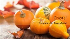  Presentation with thanksgiving - Audience pleasing slide set consisting of decorative mini pumpkins autumn leaves for halloween thanksgiving backdrop and a gold colored foreground