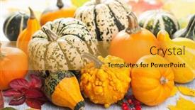  Presentation with halloween pumpkins thanksgiving day - PPT theme featuring decorative mini pumpkins for halloween background and a gold colored foreground