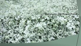  Presentation with greenhouse - PPT layouts enhanced with decorative-plant-in-greenhouse-close background and a mint green colored foreground