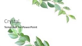  Presentation with green leaves - PPT layouts featuring decorative-round-frame-with-branch background and a white colored foreground