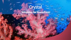  Presentation with deep sea - Theme with deep blue sea - fish on underwater coral reef background and a teal colored foreground