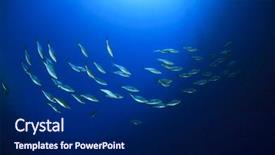  Presentation with underwater - PPT layouts enhanced with male hand holds tablet pad in home setting while sitting on the couch engaged an internet surfing using application to press a finger on the display leisure listering music concept closeup background and a gray colored foreground.