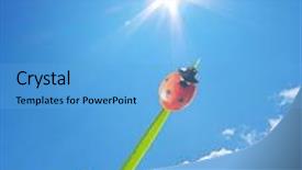  Presentation with deep blue - PPT layouts with deep blue sky composition of nature background and a light blue colored foreground