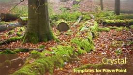  Presentation with deep - Audience pleasing presentation theme consisting of deep forest backdrop and a tawny brown colored foreground
