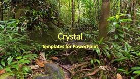  Presentation with shenandoah national park big meadows - Presentation theme enhanced with deep jungle in the bako background and a tawny brown colored foreground