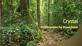  Presentation with shenandoah national park big meadows - Presentation theme having deep jungle in the bako background and a tawny brown colored foreground