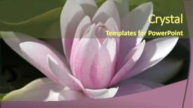  Presentation with deep - Beautiful theme featuring  backdrop and a  colored foreground