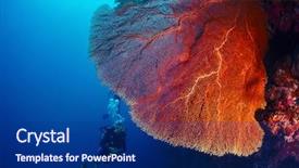  Presentation with extreme weather tropical cyclones - Presentation design enhanced with deep sea divers - lady diver exploring tropical bright background and a navy blue colored foreground