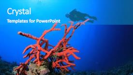  Presentation with deep sea - Audience pleasing theme consisting of deep sea divers - red sponge in blue water backdrop and a  colored foreground