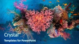  Presentation with coral reefs blue water beautiful sky - Presentation theme with deep sea divers - valentine heart made of corals background and a ocean colored foreground