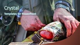  Presentation with deep sea - Slide deck having deep sea fishing - gutting fish background and a  colored foreground