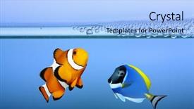  Presentation with tropical reef fish - Presentation theme featuring salt water - tropical reef fish - clownfish background and a light blue colored foreground