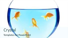  Presentation with moving sea - Cool new presentation theme with deep sea moving - goldfishes in aquarium isolated backdrop and a  colored foreground