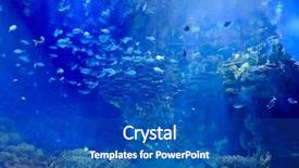  Presentation with fishes - Audience pleasing presentation theme consisting of deep sea moving - underwater image of tropical fishes backdrop and a ocean colored foreground