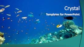  Presentation with moving sea - PPT theme enhanced with deep sea moving - underwater image of tropical fishes background and a  colored foreground