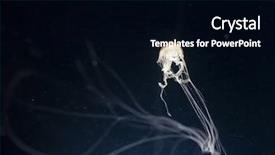  Presentation with jellyfish - Slide deck with deep water - jellyfish in the dark background and a black colored foreground