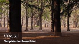  Presentation with woods - Amazing PPT layouts having deep-woods-a-view backdrop and a tawny brown colored foreground