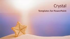  Presentation with starfish - Audience pleasing presentation consisting of deepwater rare starfish with ocean beach and seascape shallow dof backdrop and a lemonade colored foreground