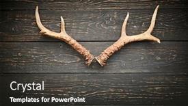  Presentation with antlers - PPT layouts with deer-antlers-on-vintage-wooden background and a dark gray colored foreground