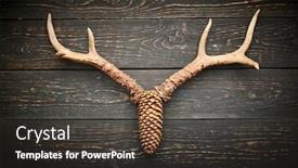  Presentation with deer hunting - Amazing theme having deer-antlers-on-vintage-wooden backdrop and a dark gray colored foreground