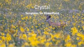  Presentation with wildflower meadow - Presentation design featuring deer-in-the-middle background and a gray colored foreground