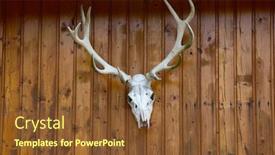  Presentation with computer viruses skull - Cool new slide set with deer-skull-with-antler backdrop and a tawny brown colored foreground