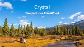  Presentation with antlers - Audience pleasing slide deck consisting of deer-with-branched-antlers backdrop and a teal colored foreground