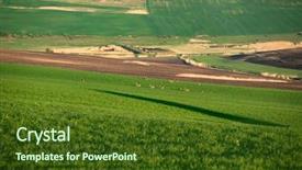  Presentation with deer - Amazing slides having deers - wild roe deer backdrop and a tawny brown colored foreground