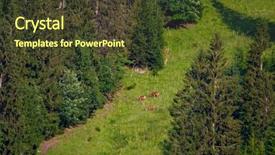  Presentation with grazing - Amazing presentation having deers grazing on a mountain backdrop and a tawny brown colored foreground