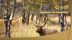  Presentation with rocky mountains - Colorful presentation enhanced with deers in rocky mountains np usa backdrop and a tawny brown colored foreground