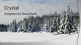  Presentation with frozen - Colorful theme enhanced with deers walked across a frozen backdrop and a light gray colored foreground